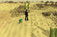 /album/fotogalerie/desert-textures-and-pet-png/